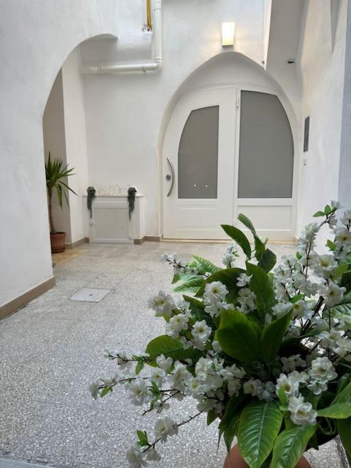 Mediterranean House 바리 외부 사진